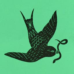 artist image